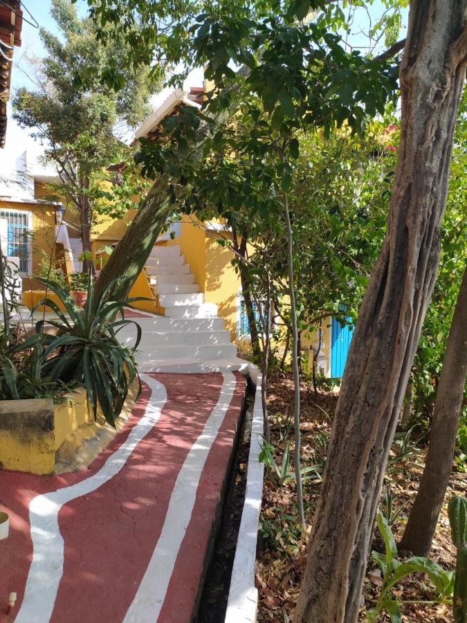 Jardin Etnobotanico Villa Ludovica Санта-Марта Экстерьер фото