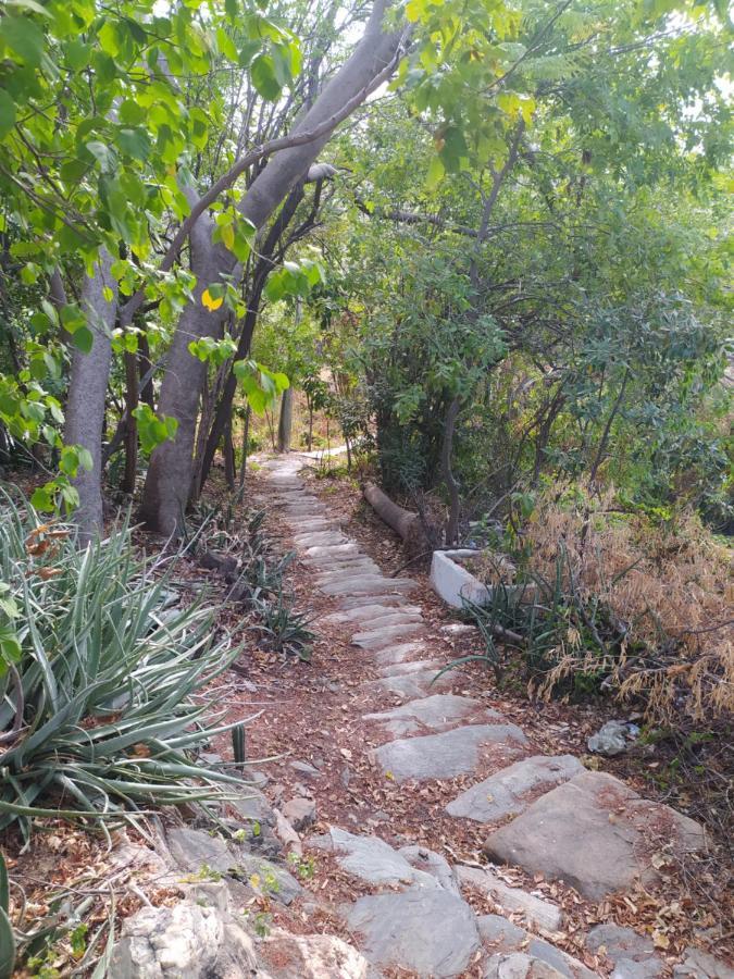 Jardin Etnobotanico Villa Ludovica Санта-Марта Экстерьер фото